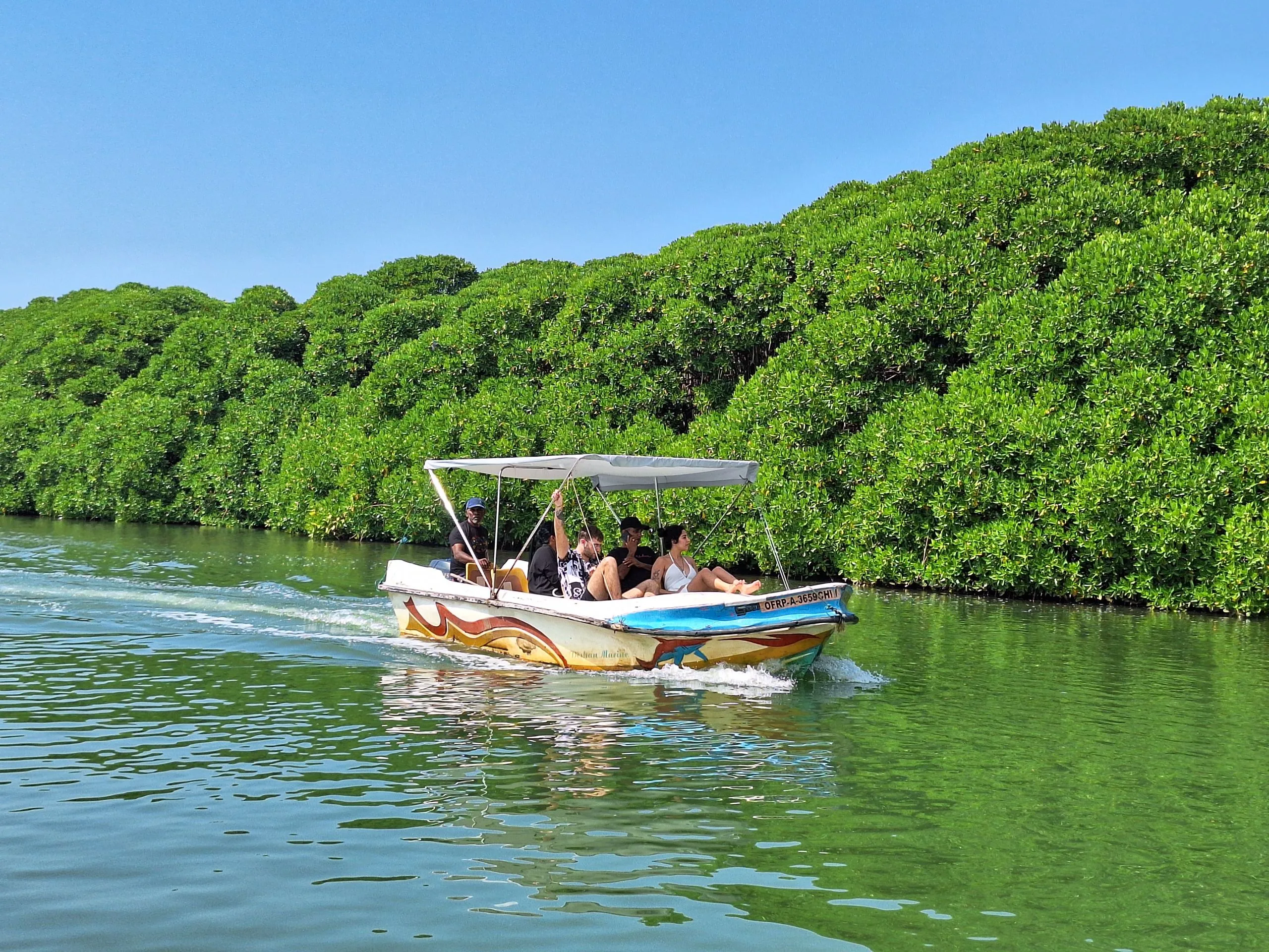 A small canopied boat carrying travellers along the mangrove edge of Negombo lagoon