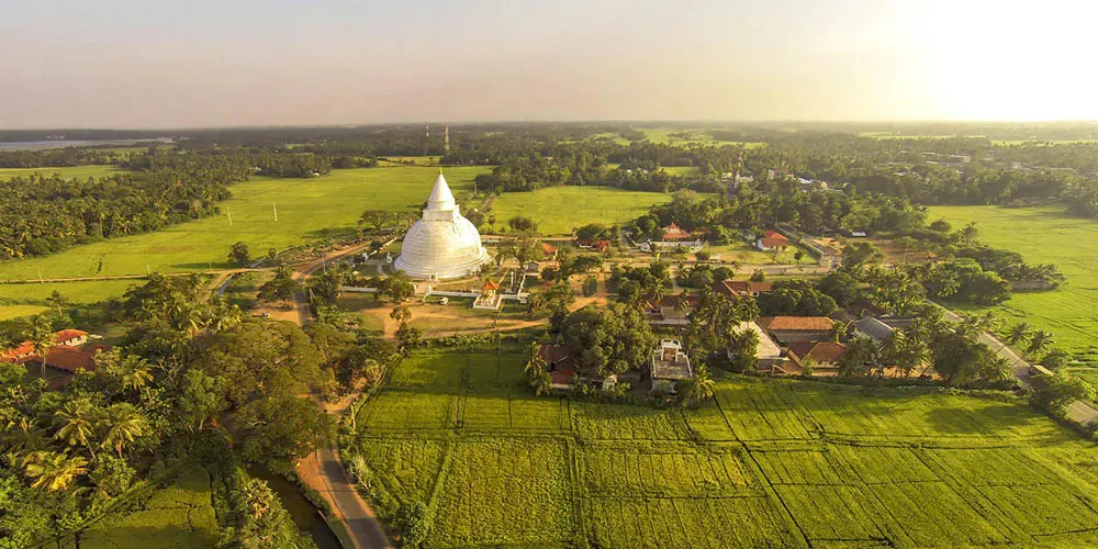 Tissamaharama seen from above, the tank and dagoba among paddy fields and treeline
