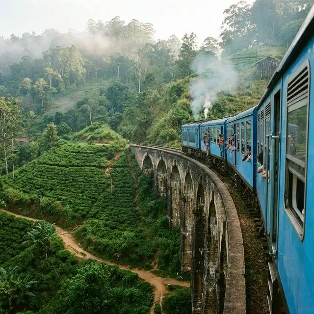 Four hours on the hill-country line with the doors open, and the tea going past close enough to touch.