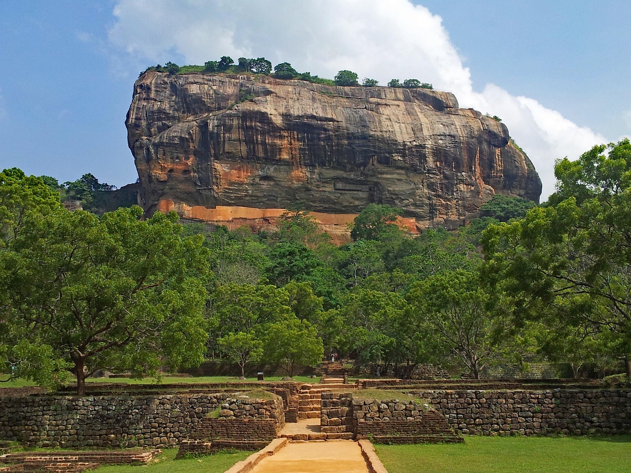 Ceylon Peacock Travel